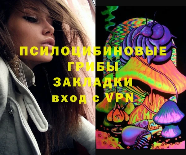 шишки Алексин