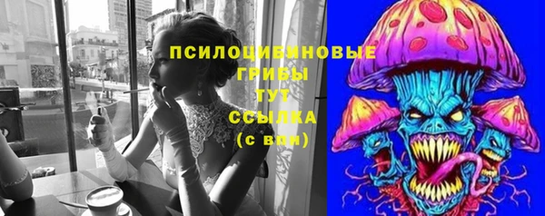 шишки Алексин