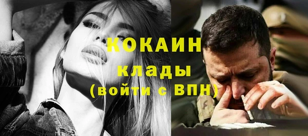 шишки Алексин
